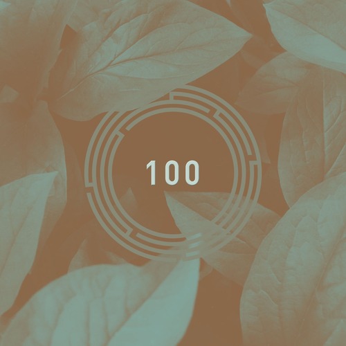VA – RYNTH 100 [RYNTH100]